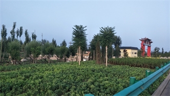 標題：張家口經(jīng)開區(qū)腰站堡飲用水源地生態(tài)涵養(yǎng)綠化
瀏覽次數(shù)：2209
發(fā)表時間：2020-10-16