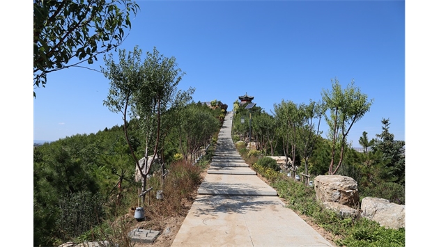 標(biāo)題：張家口太子山山體修復(fù)
瀏覽次數(shù)：17960
發(fā)表時(shí)間：2020-11-12